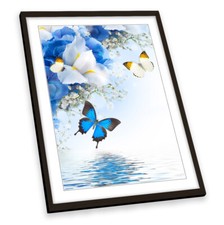 Flowers butterflies floral for sale Flowers butterflies floral for sale  UK