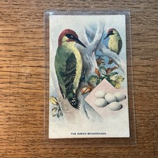 Tuck aquarette bird for sale  PRESTEIGNE