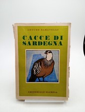 Cacce sardegna arturo usato  Italia
