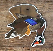 Bird dog hunting for sale  Ashland