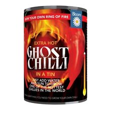 Ghost chilli growing for sale  COVENTRY