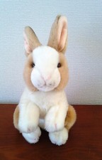 Hase kuscheltier plüschtier gebraucht kaufen  Murrhardt
