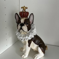 Boston terrier french for sale Boston terrier french for sale  BIRMINGHAM