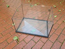 Reptile amphibian frog for sale  HULL