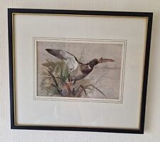 Vintage archibald thorburn for sale  POOLE