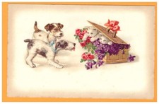 Chat chien jeu d'occasion  Baugy