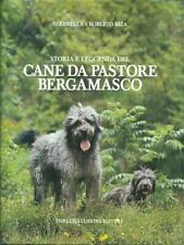 Cane pastore bergamasco usato  Italia