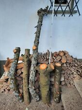 Kirsche drechselholz basteln gebraucht kaufen  Heuchelheim