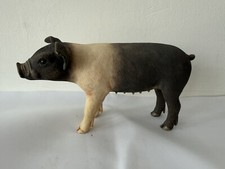 Sherratt simpson pig for sale  NEWQUAY