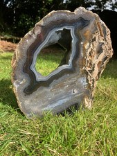 Stunning large free for sale  BOLTON