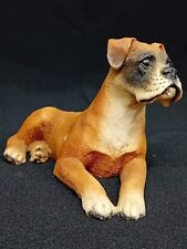 Boxer dog. tan for sale  UCKFIELD