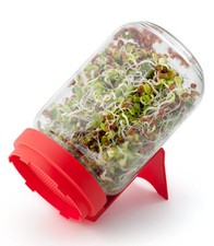Sprossenglas gebraucht kaufen  Aurich