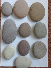 Smooth pebbles pebble for sale  BRIXHAM
