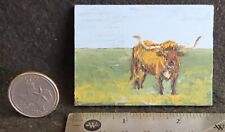 miniature texas longhorn for sale  Dallas