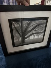 Black framed picture for sale  Belleville