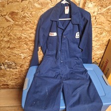 Vintage lion apparel for sale  De Ruyter
