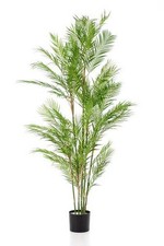 Kunstpflanze chamaedorea elega gebraucht kaufen  Düsseldorf