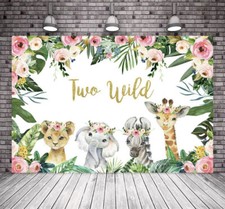 Two wild birthday for sale  Apache Junction
