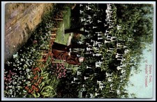 Postcard datura tree d'occasion  Expédié en Belgium