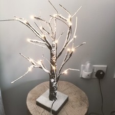 white twig tree for sale white twig tree for sale ROCHESTER