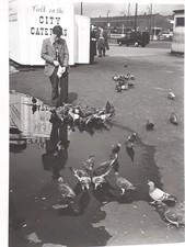 1960s liverpool boy for sale  LIVERPOOL