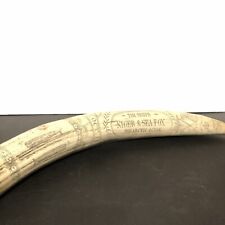 Scrimshaw walrus tusk for sale  Trenton