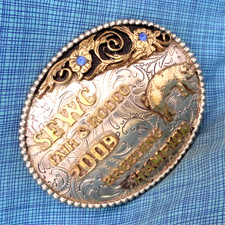 Sewc 2009 fair for sale  Torrington