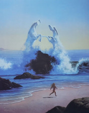 Jim warren spirit for sale  San Diego