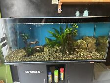 Acquario 300lt usato  Caltanissetta