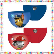 costume carnevale paw patrol usato costume carnevale paw patrol usato Massa di Somma