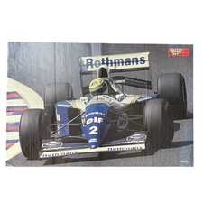 Poster autosprint ayrton usato  Italia