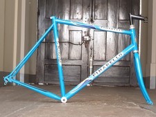 Rare steel pinarello usato  Torino