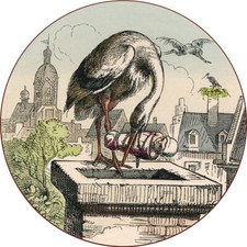 Ankunft dem storch gebraucht kaufen  Grabenstätt