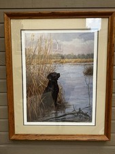 William gillies 1981 for sale  Boise