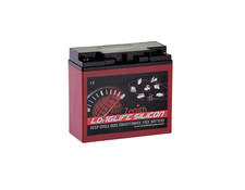 Zenith zls120120 batteria usato  Italia