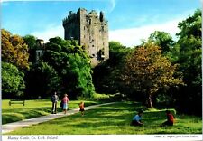 Blarney castle cork for sale  Cary