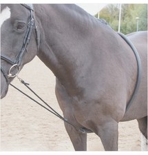 Shires soft horse for sale  BOURNE