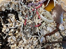 hawaiian seashells for sale  San Marcos