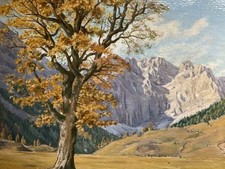 Altes ölgemälde ahornboden gebraucht kaufen  Wurmannsquick
