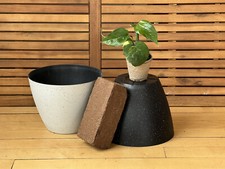 Diy pothos plant for sale  Charlevoix