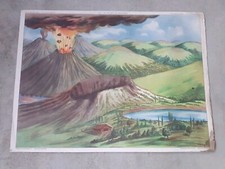Affiche scolaire rossignol d'occasion  Aubenas