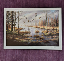 Vtg ken zylla for sale  Schofield