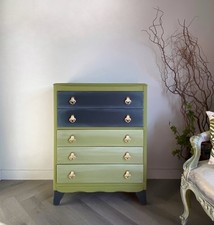 Vintage lebus chest for sale  PRENTON