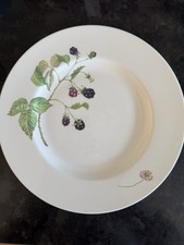 Villeroy boch wildberries gebraucht kaufen  Markt Schwaben