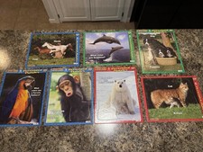 Puzzle patch animal for sale  Pinckneyville