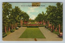 Usado, Cartão postal Miami FL-Florida, Scenic Bayfront Park, Palm Tree Walkway, c1948 comprar usado  Enviando para Brazil