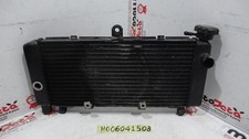Radiatore acqua Water Radiator Honda Hornet 600 99 02, usado comprar usado  Enviando para Brazil