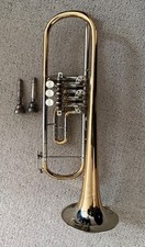 Blechblasinstrumente gebraucht kaufen  Goldberg, Meckl