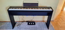 Casio privia s1100 gebraucht kaufen  Dalheim, Mommenheim, Undenheim