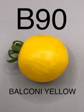 Graine seed tomate d'occasion Graine seed tomate d'occasion  La Pacaudière